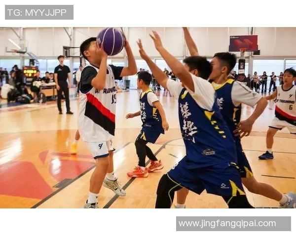 西安篮球队配合变革引发热议助力球队新篇章