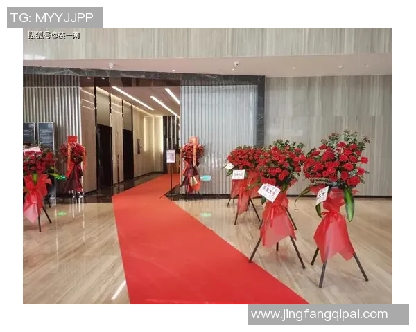 南京排球队的拼搏历程与荣耀时刻全景纪实