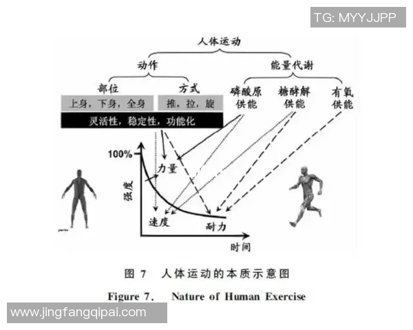 运动心理学视角下的竞技表现提升与心理调适策略研究 运动心理学视角下的竞技表现提升与心理调适策略研究