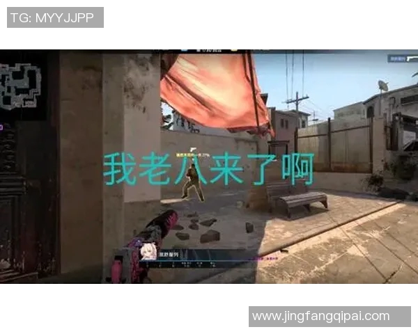 与杨丽畅谈CSGO职业生涯的起伏与挑战 与杨丽畅谈CSGO职业生涯的起伏与挑战